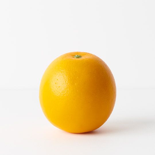 Artificial Flora Fruit Orange