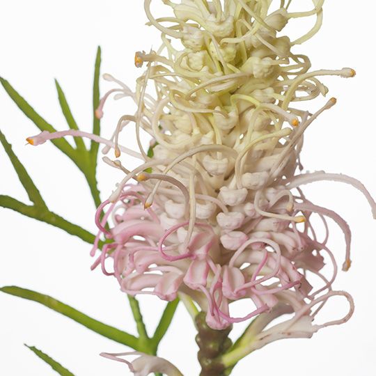 Artificial Flora Grevillea Cream Pink 63CML