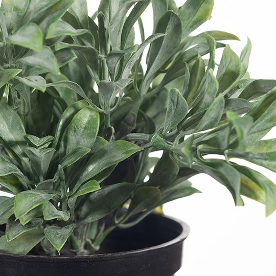 Artificial Flora Jade Bush In Pot Grey Green 18CMH