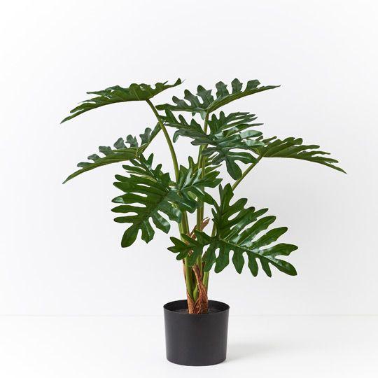 Artificial Flora Philodendron Selloum Plant Green 75CMH
