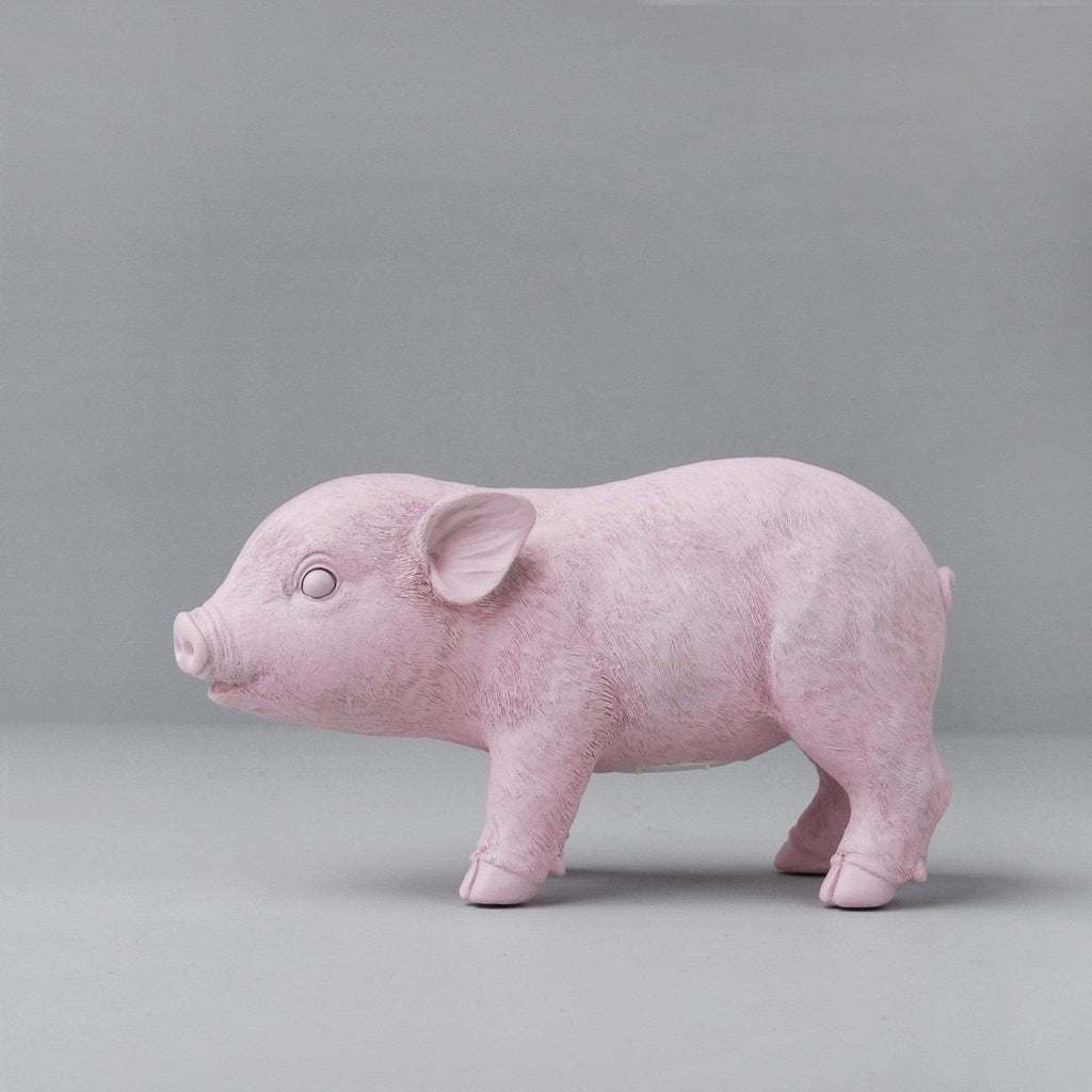 Piggy Banks & Money Jars Pink Pig Money Box