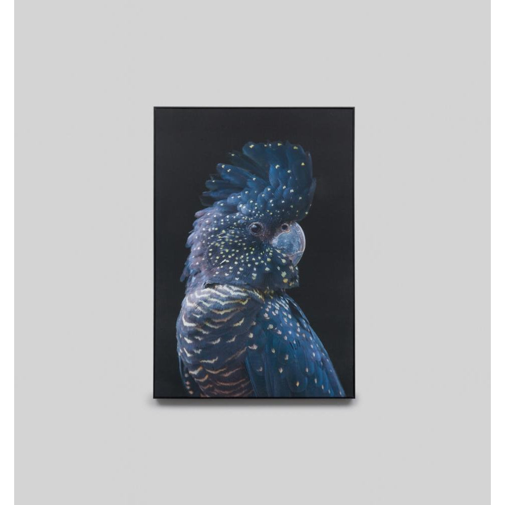 Posters, Prints, & Visual Artwork Black Cockatoo Canvas