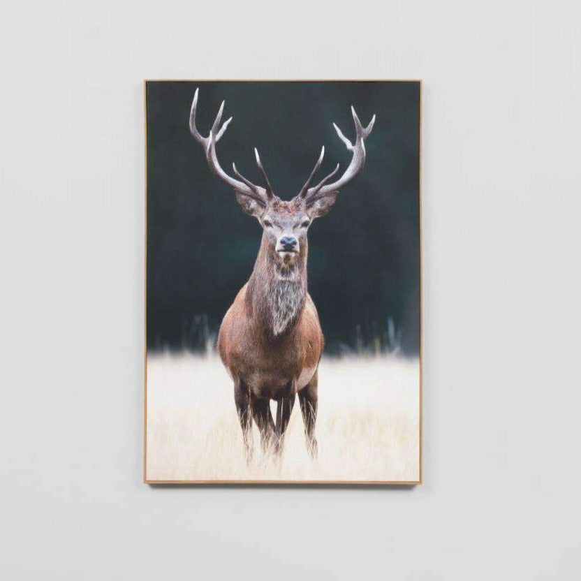 Posters, Prints, & Visual Artwork Meadow Deer Photographic Print