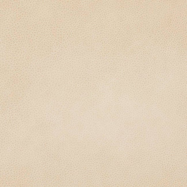 Accent or Occasional Chairs Tolv Nysse Occasional Chair