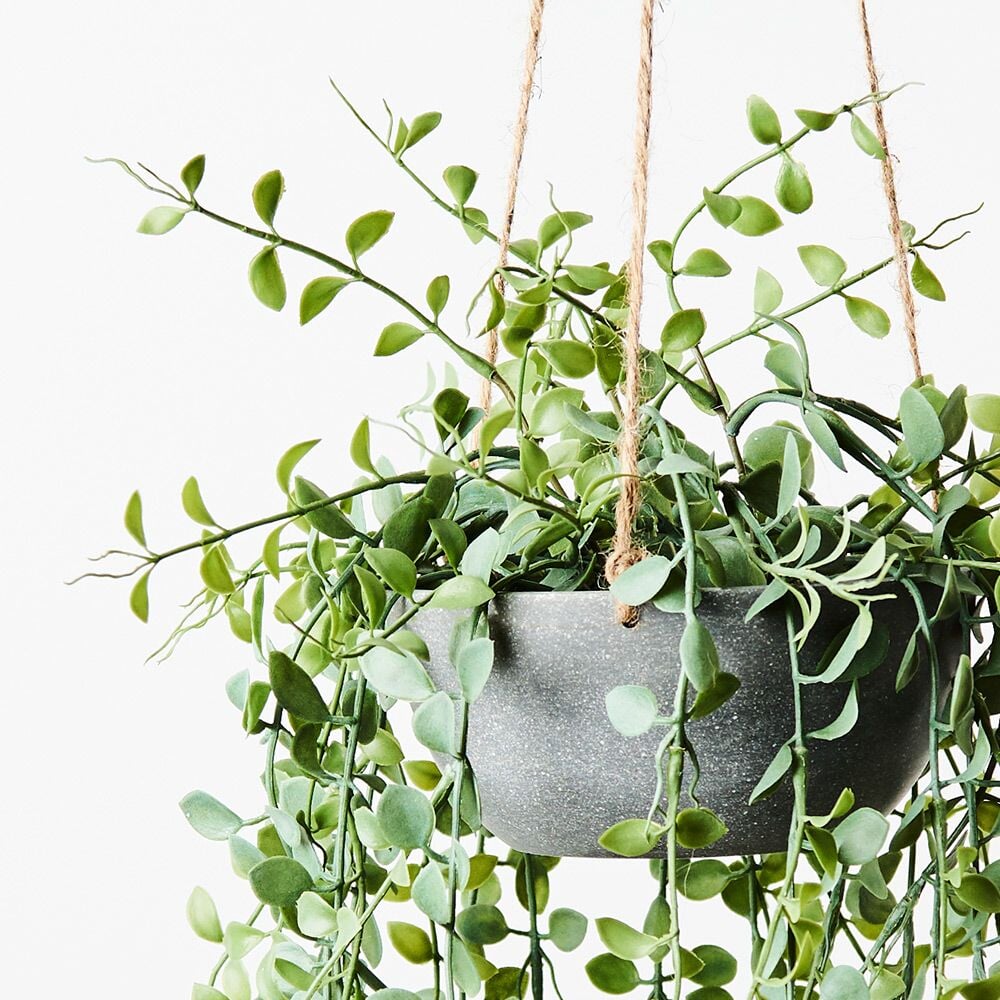 Artificial Flora Fern Button Hanging Bowl Grey 70cml x 25cmw