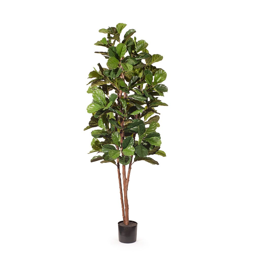 Artificial Flora Fiddle Leaf Tree Green 213cmh