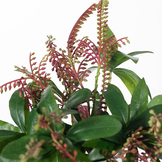 Artificial Flora Pieris Japonica Mix In Vase