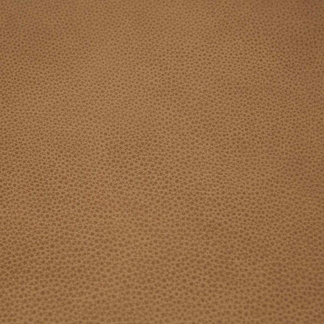 Kitchen & Dining Room Chairs Tolv Inlay Upholstered Dining Armchair