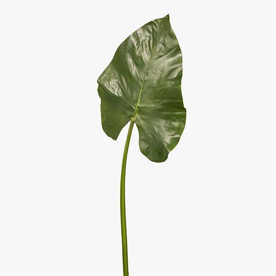 Artificial Flora Alocasia Leaf Green