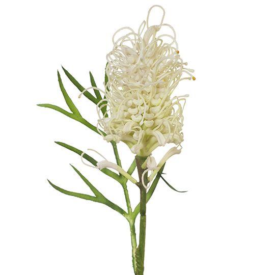 Artificial Flora Grevillea Cream Green 63CML