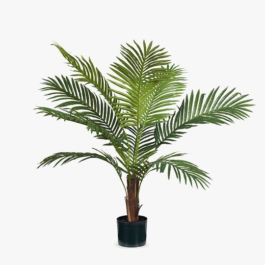 Artificial Flora Palm Kentia Green 106CMH