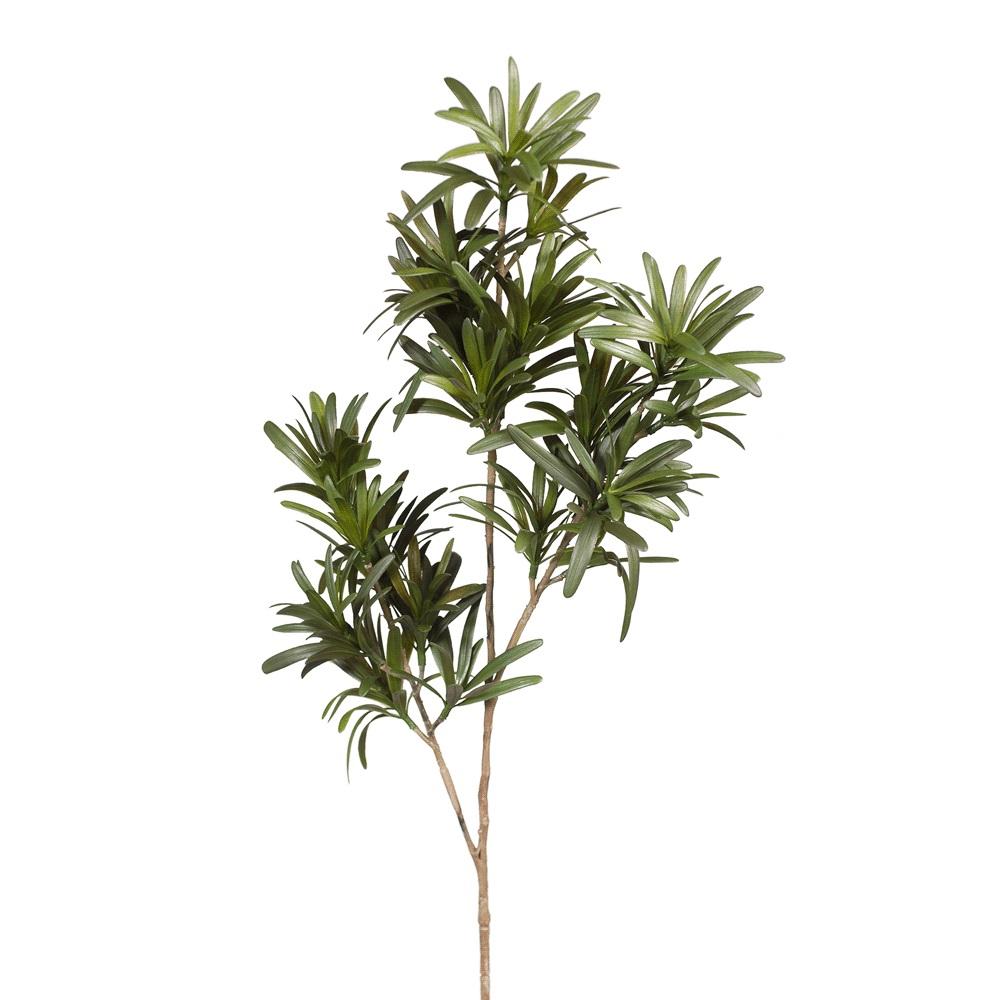 Artificial Flora Podocarpus Green 76CML