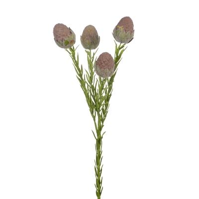 Artificial Flora Protea Leucadendron Cone Spray Brown 58CML