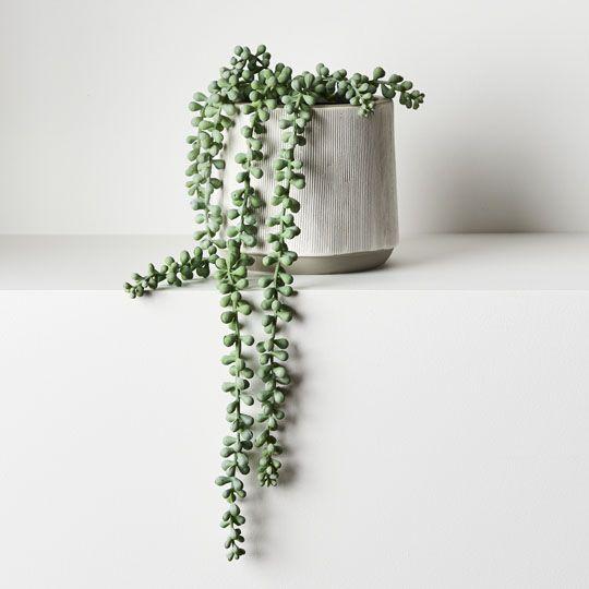 Artificial Flora String of Pearls In Pot Grey Green 45CML