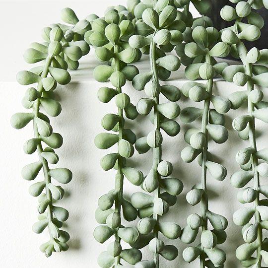 Artificial Flora String of Pearls In Pot Grey Green 70CML
