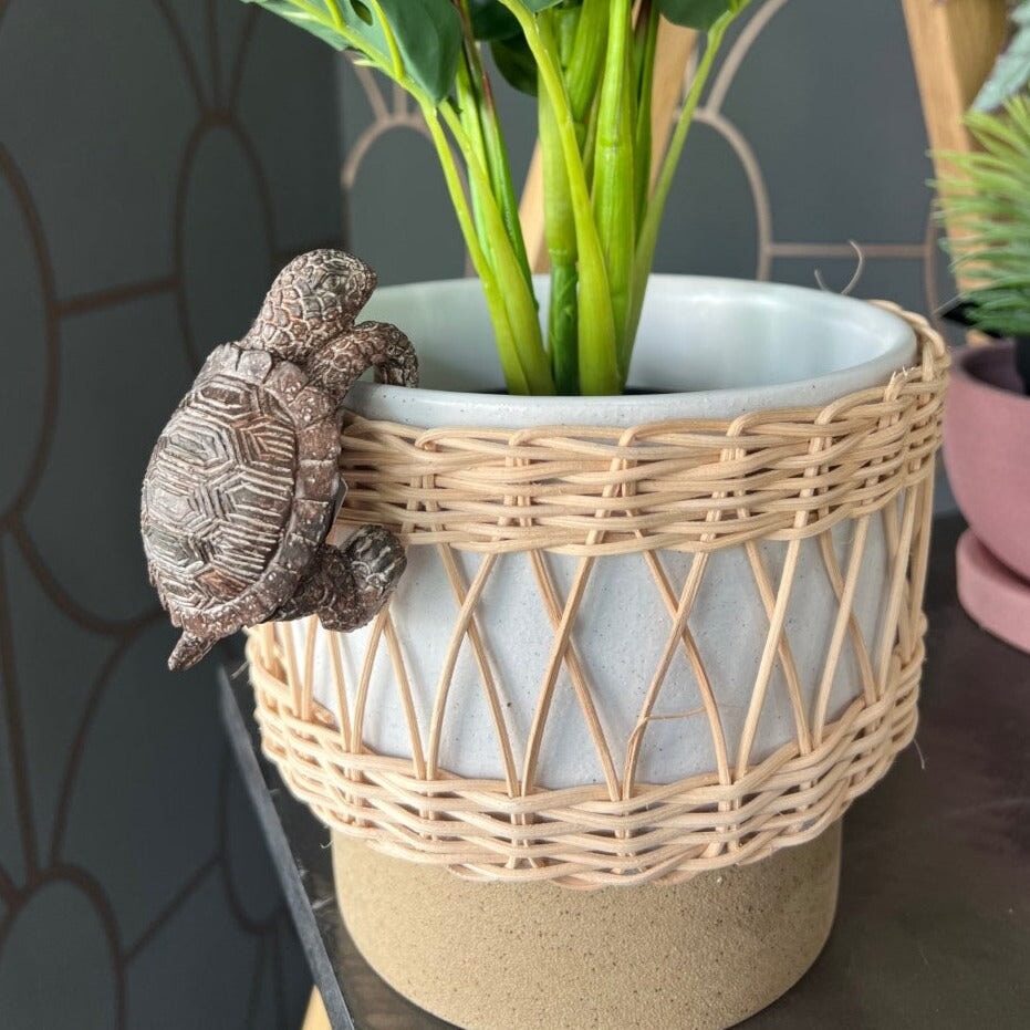 Gardening Accessories Winston Tortoise Pot Hanger Natural
