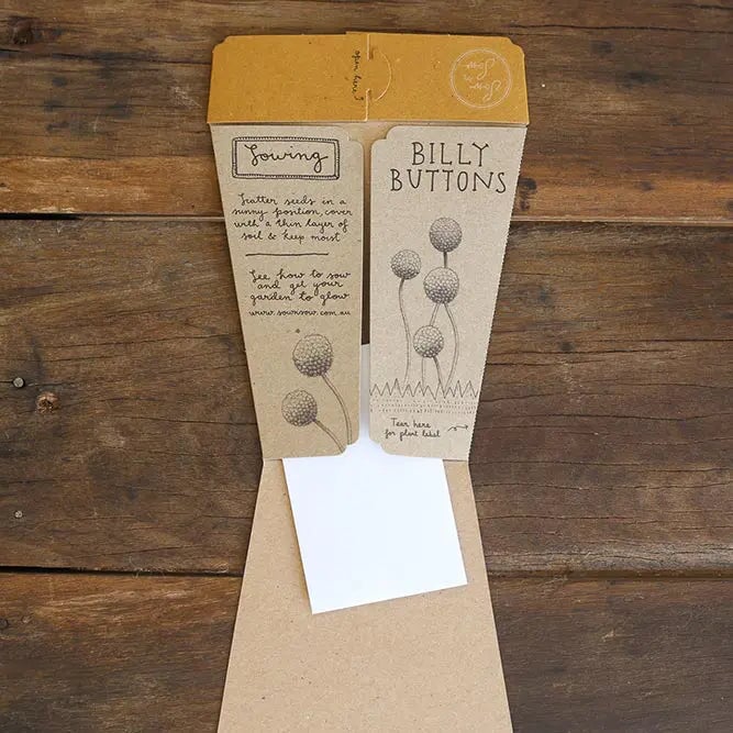 Greeting & Note Cards Billy Buttons Gift of Seeds