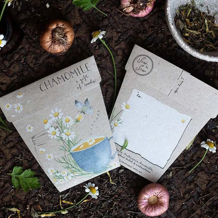 Greeting & Note Cards Chamomile Gift of Seeds