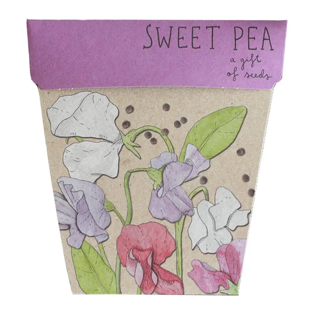 Greeting & Note Cards Sweet Pea Gift of Seeds