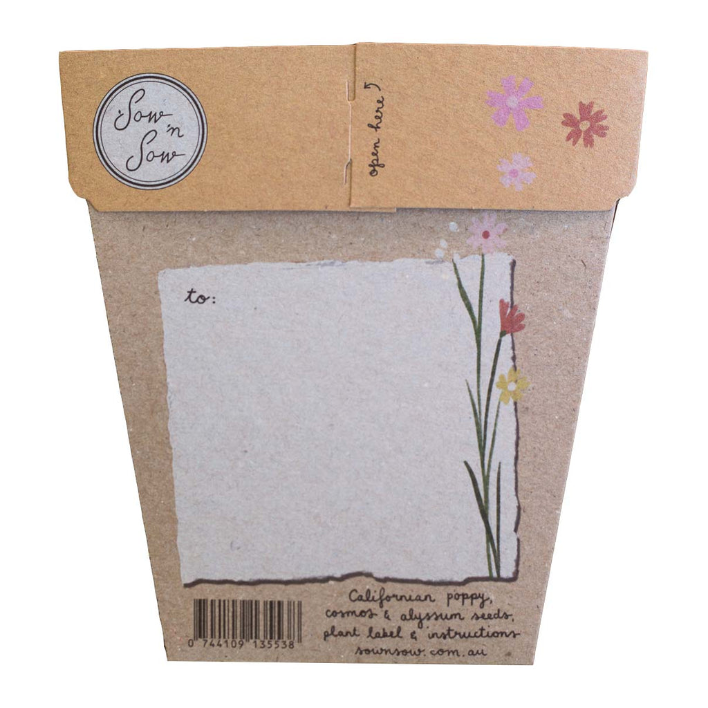 Greeting & Note Cards Wildflowers Gift of Seeds