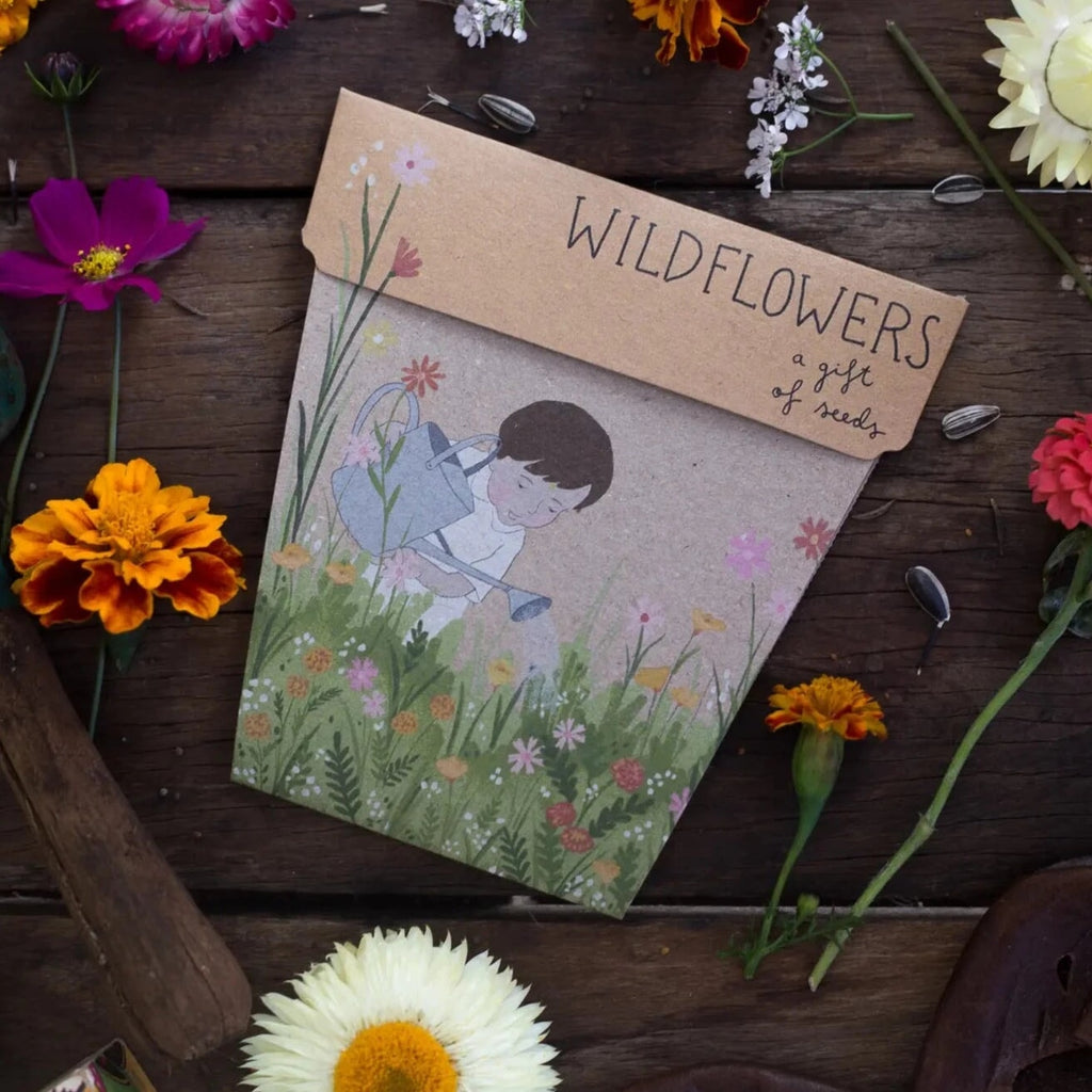 Greeting & Note Cards Wildflowers Gift of Seeds