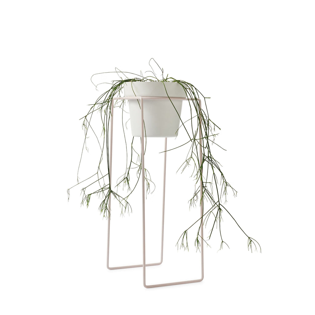Plant Stands Plant Stand Tall Blush
