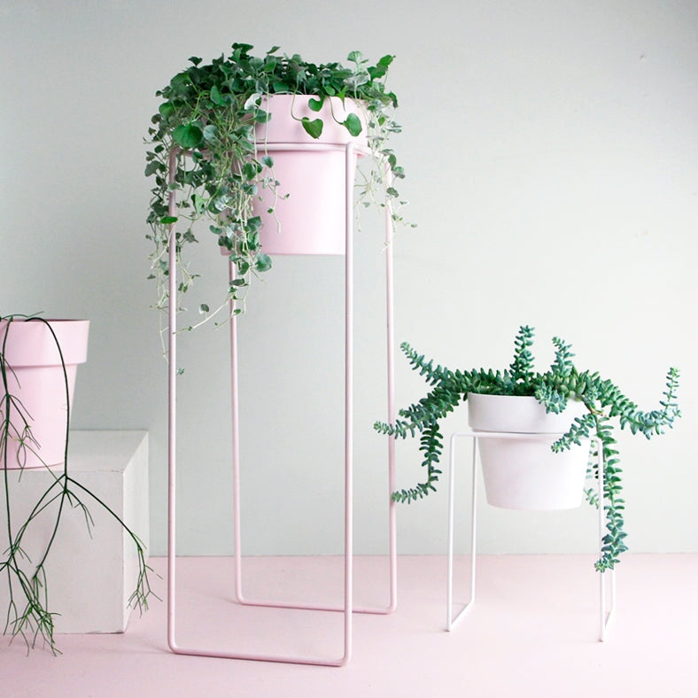 Plant Stands Plant Stand Tall Blush