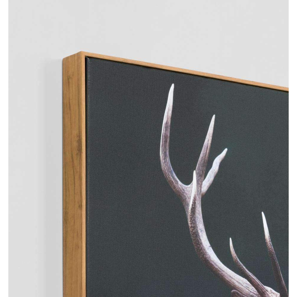 Posters, Prints, & Visual Artwork Meadow Deer Photographic Print