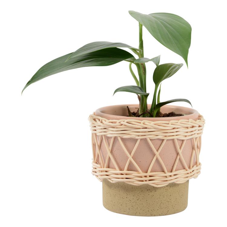 Pots & Planters Riva Pot With Weave