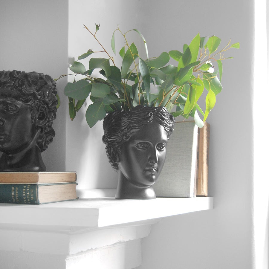 Pots & Planters Venus Vase/Plant Holder Black